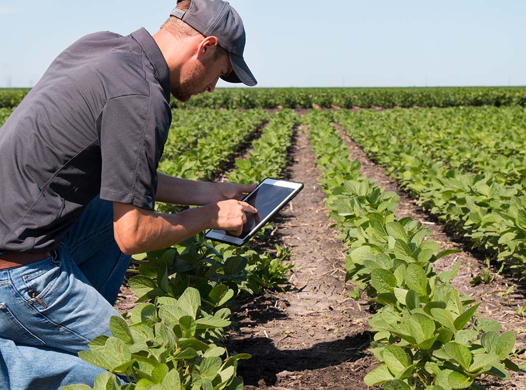 Horticulture and Research II