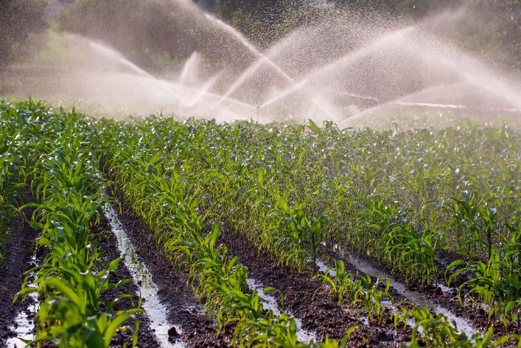 Irrigation - Agricultural Irrigation