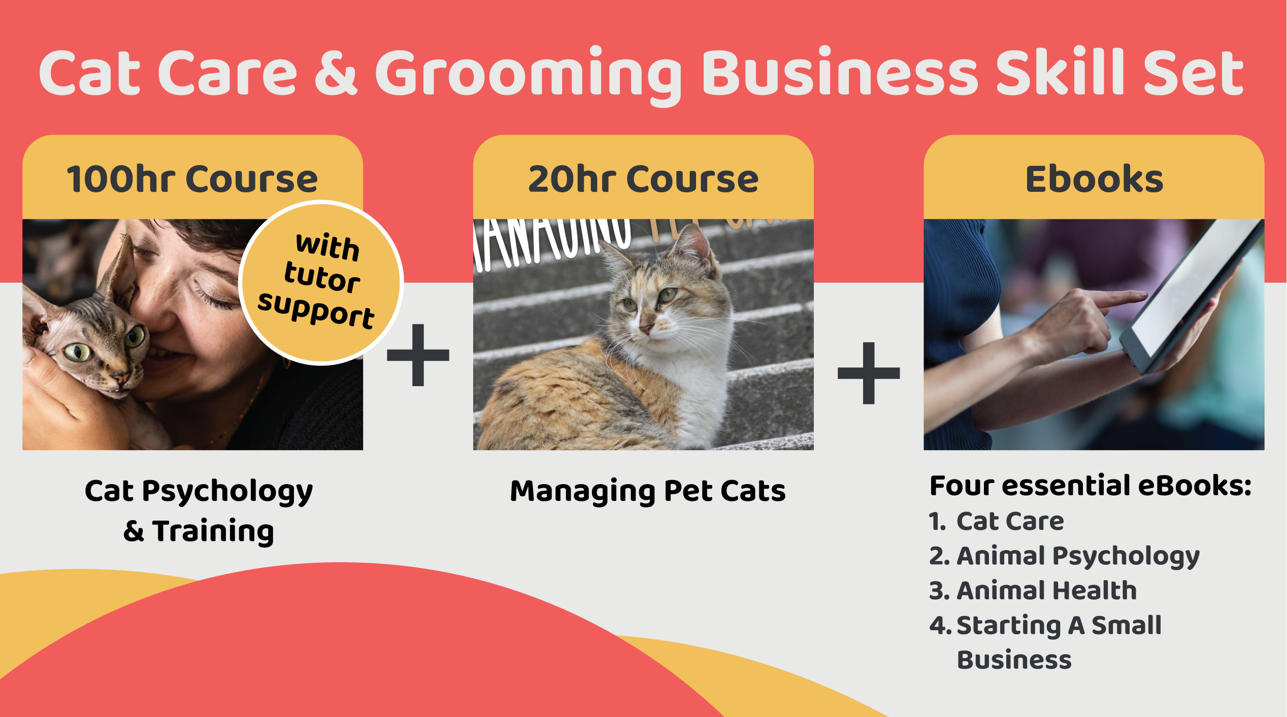 Cat Care & Grooming Business Skill Set SPECIAL OFFER