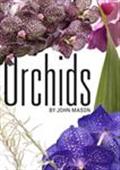 Orchids