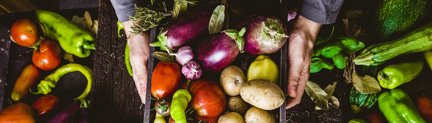 Tips for Permaculture Gardens