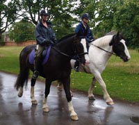 horse courses.